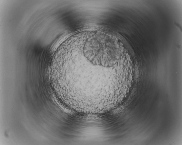 X0000103950842200810311547
