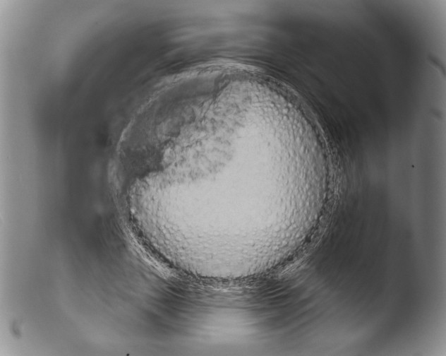 X0000103950843200810311547