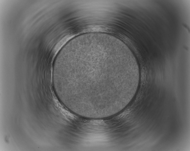 X0000103950844200810311547