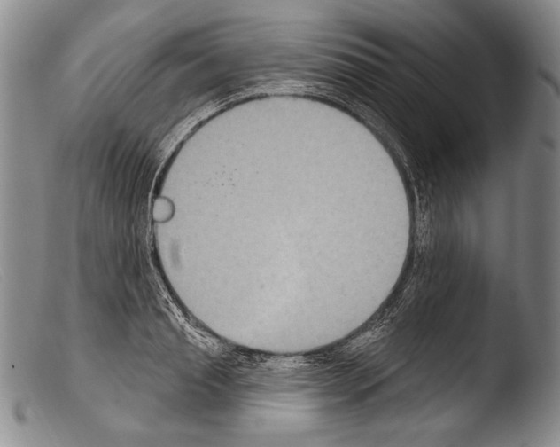 X0000103950845200810311547