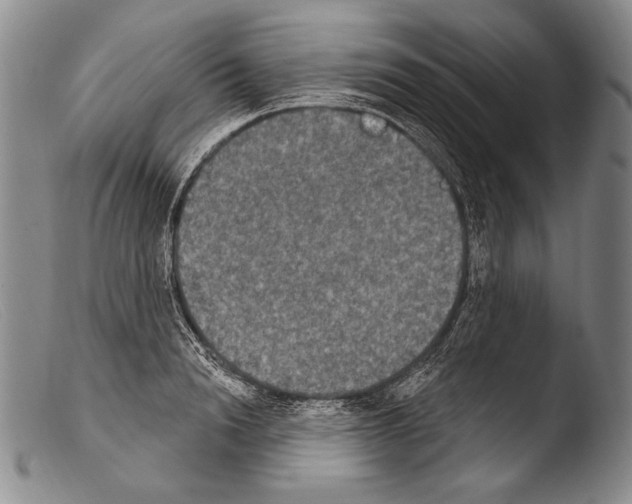 X0000103950846200810311547