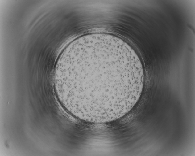 X0000103950847200810311547