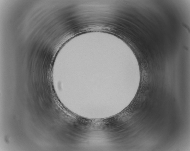 X0000103950848200810311547