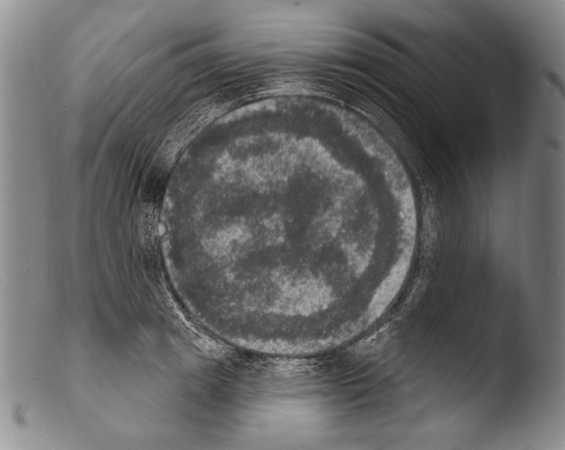 X0000103950849200810311547