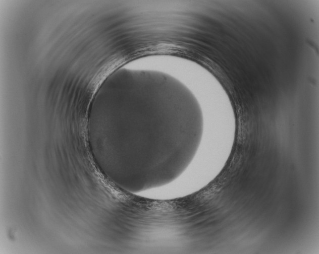X0000103950850200810311547