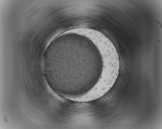 X0000103950851200810311547