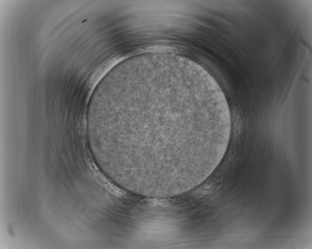 X0000103950852200810311547