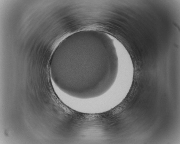 X0000103950854200810311547