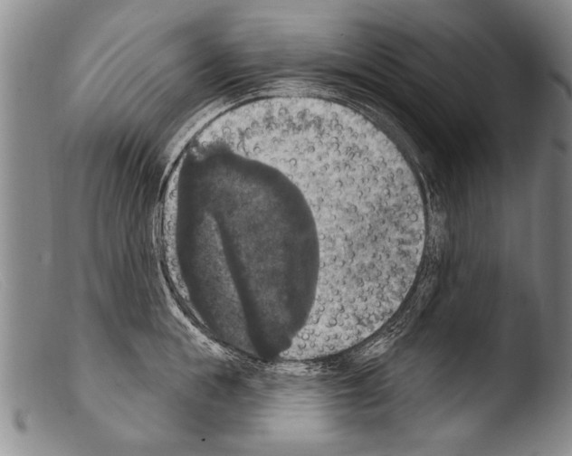 X0000103950855200810311547