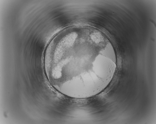 X0000103950856200810311547