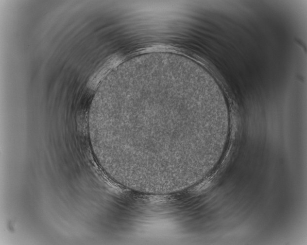 X0000103950857200810311547