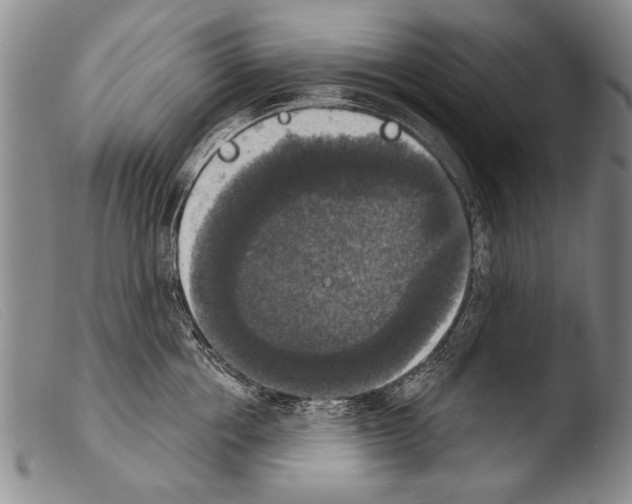 X0000103950858200810311547