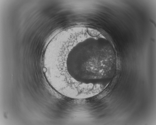 X0000103950859200810311547