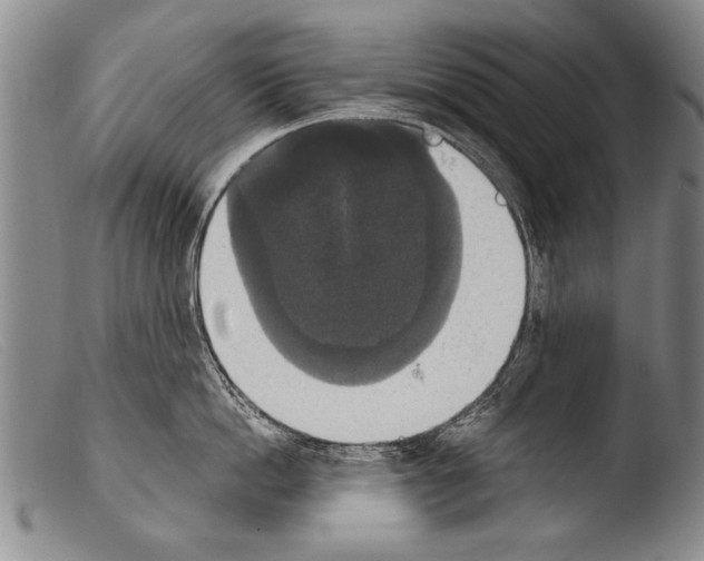 X0000103950862200810311547