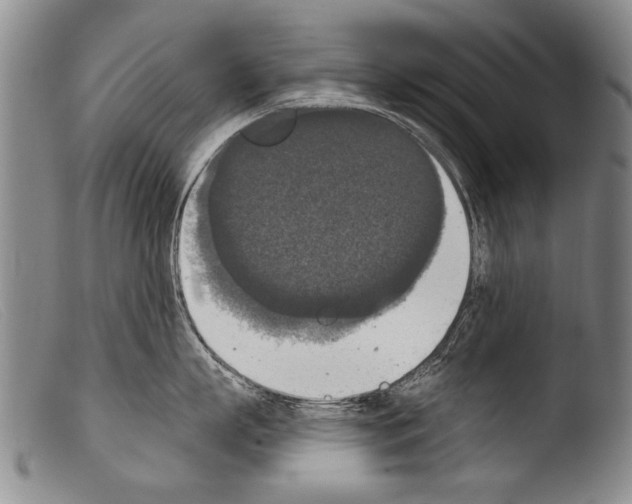 X0000103950863200810311547