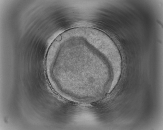 X0000103950864200810311547