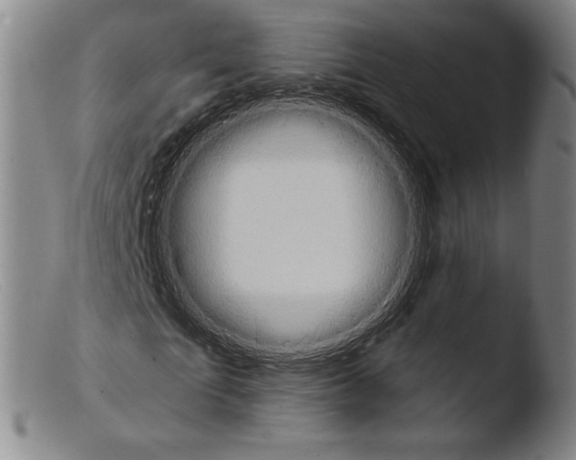 X0000103950865200810311547
