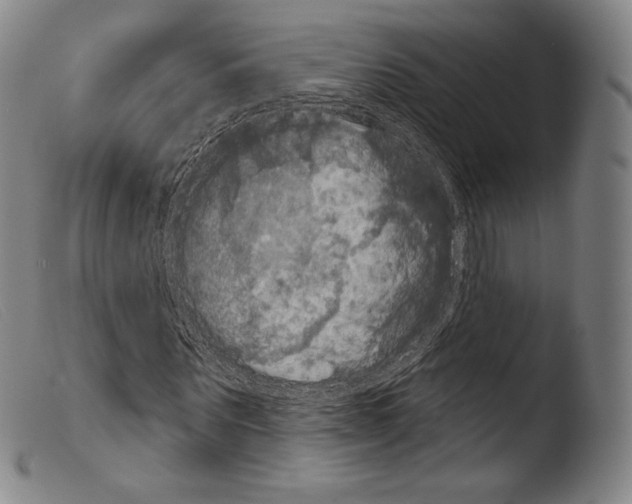 X0000103950867200810311547