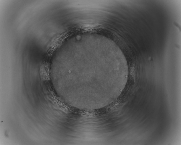 X0000103950868200810311547