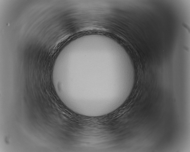 X0000103950869200810311547