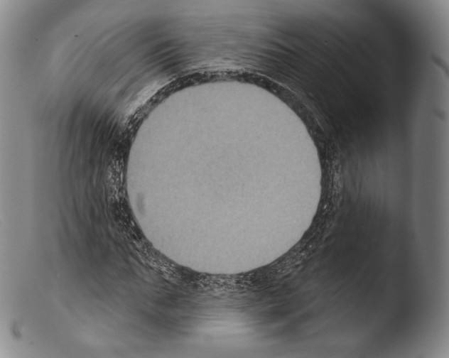 X0000103950871200810311546