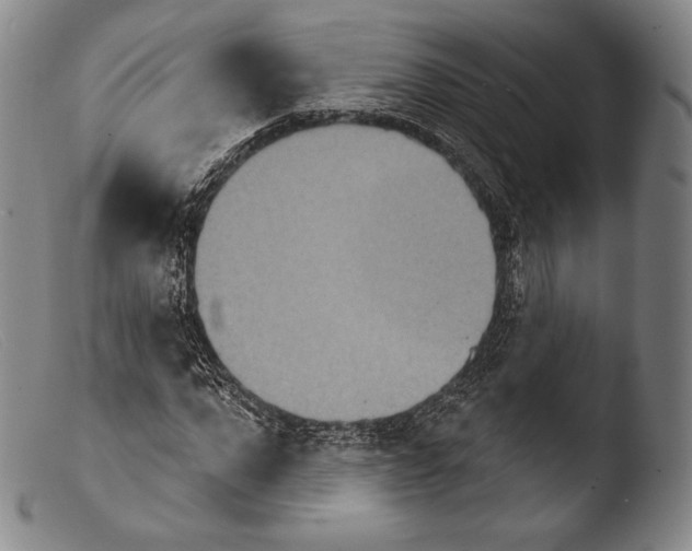 X0000103950872200810311546