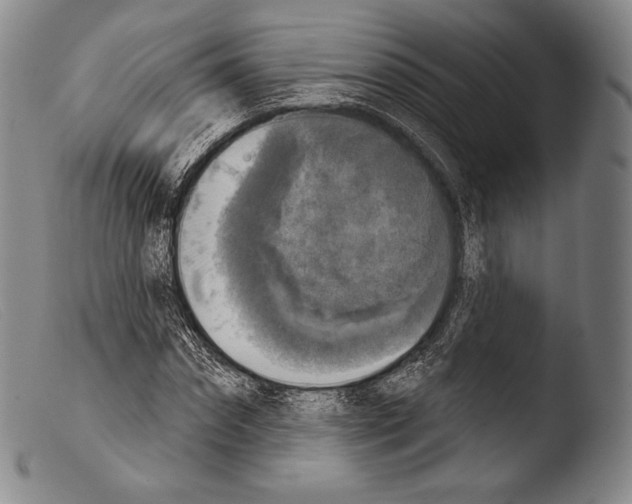 X0000103950874200810311546