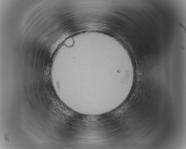 X0000103950875200810311546