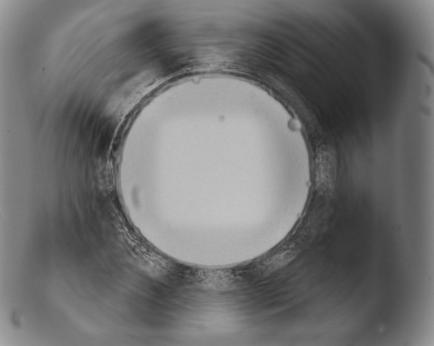 X0000103950876200810311546