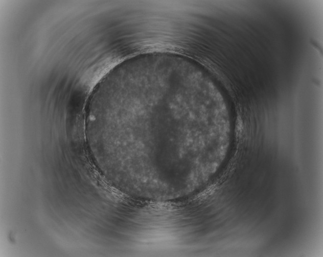 X0000103950877200810311546