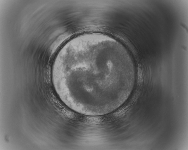 X0000103950878200810311546