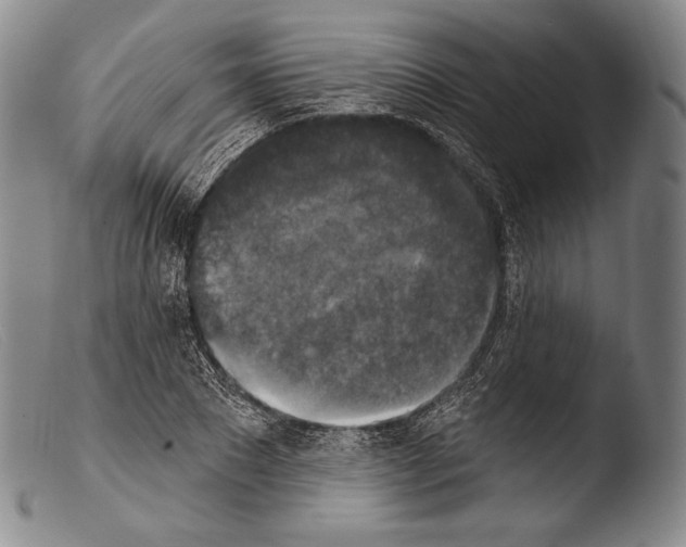 X0000103950881200810311546