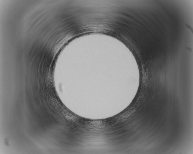 X0000103950883200810311546