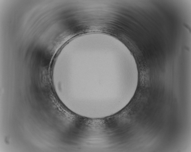 X0000103950884200810311546