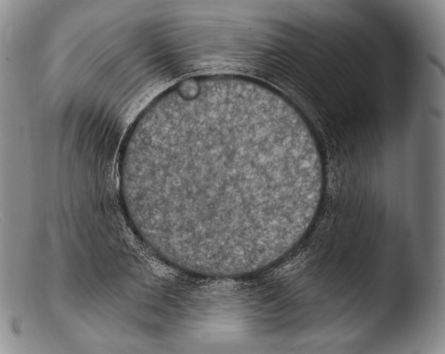 X0000103950885200810311546