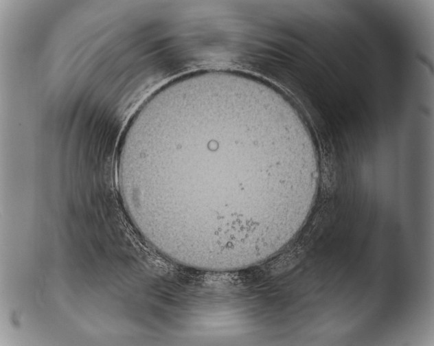 X0000103950887200810311546
