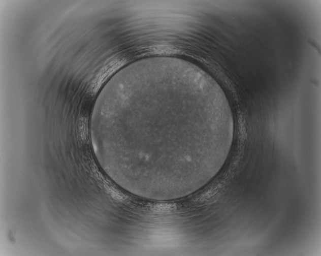 X0000103950889200810311546