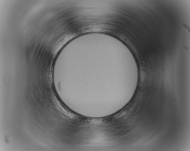 X0000103950890200810311546