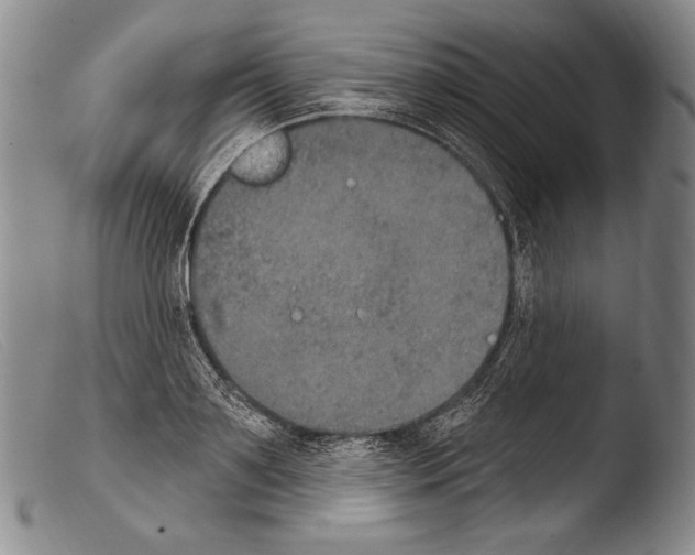 X0000103950891200810311546