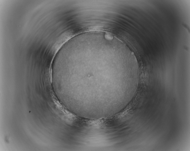 X0000103950892200810311546