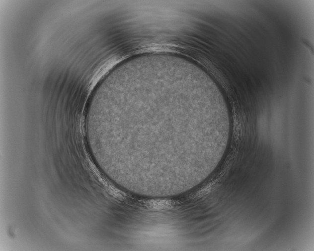 X0000103950893200810311546