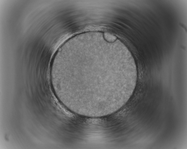 X0000103950894200810311546