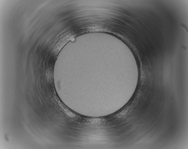 X0000103950897200810311546