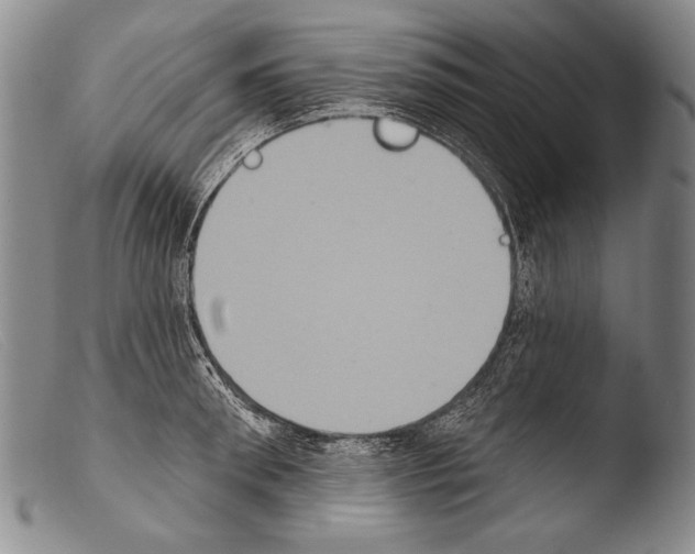 X0000103950898200810311546