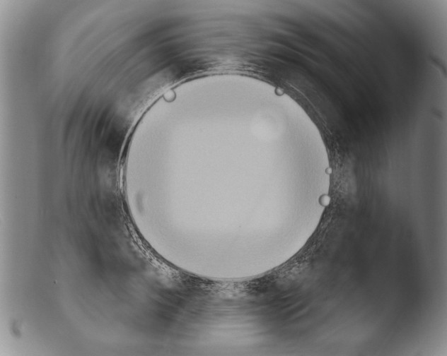 X0000103950900200810311546