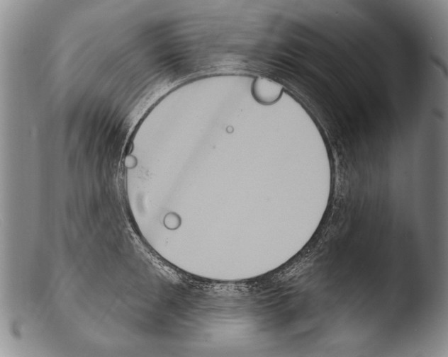 X0000103950901200810311546