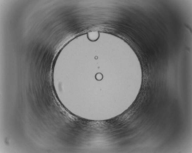 X0000103950902200810311546