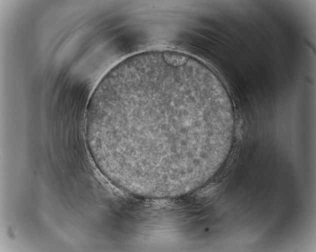 X0000103950903200810311546