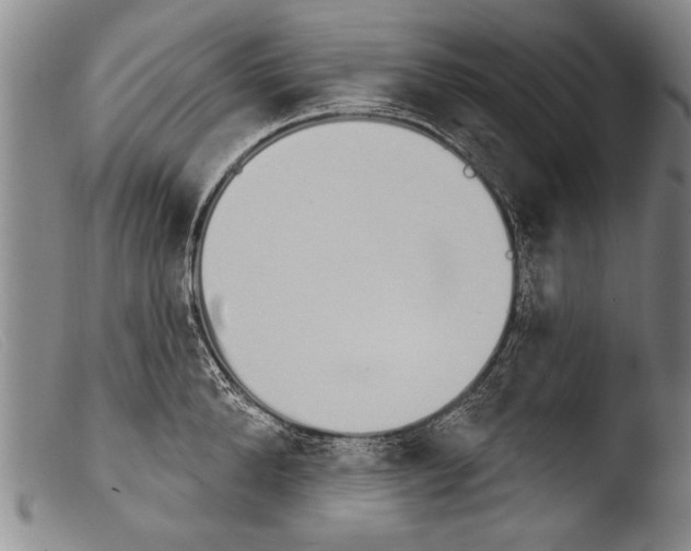 X0000103950904200810311546