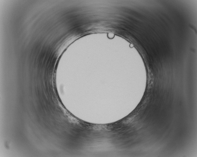 X0000103950909200810311546